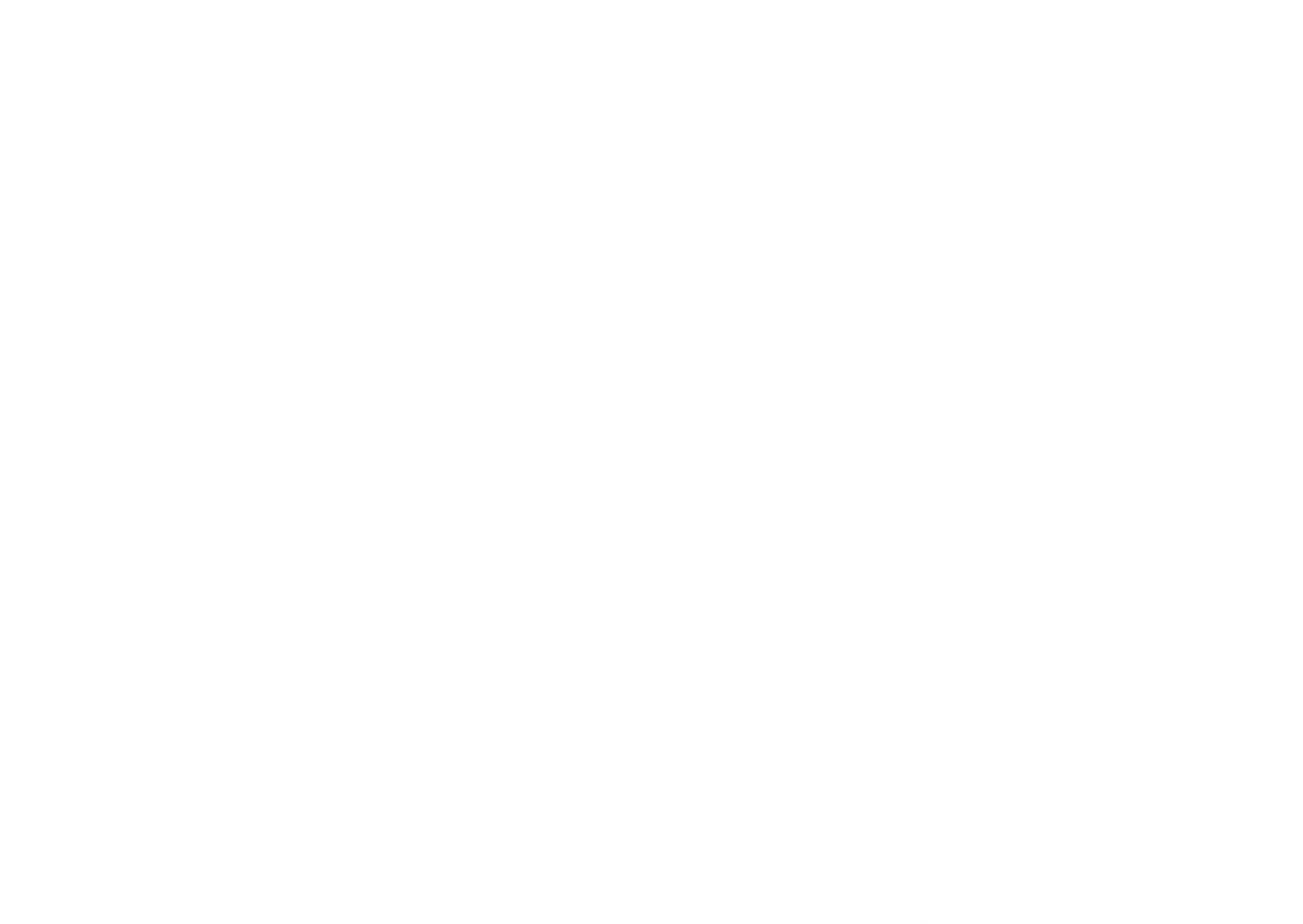 AVM SOLUÇÕES